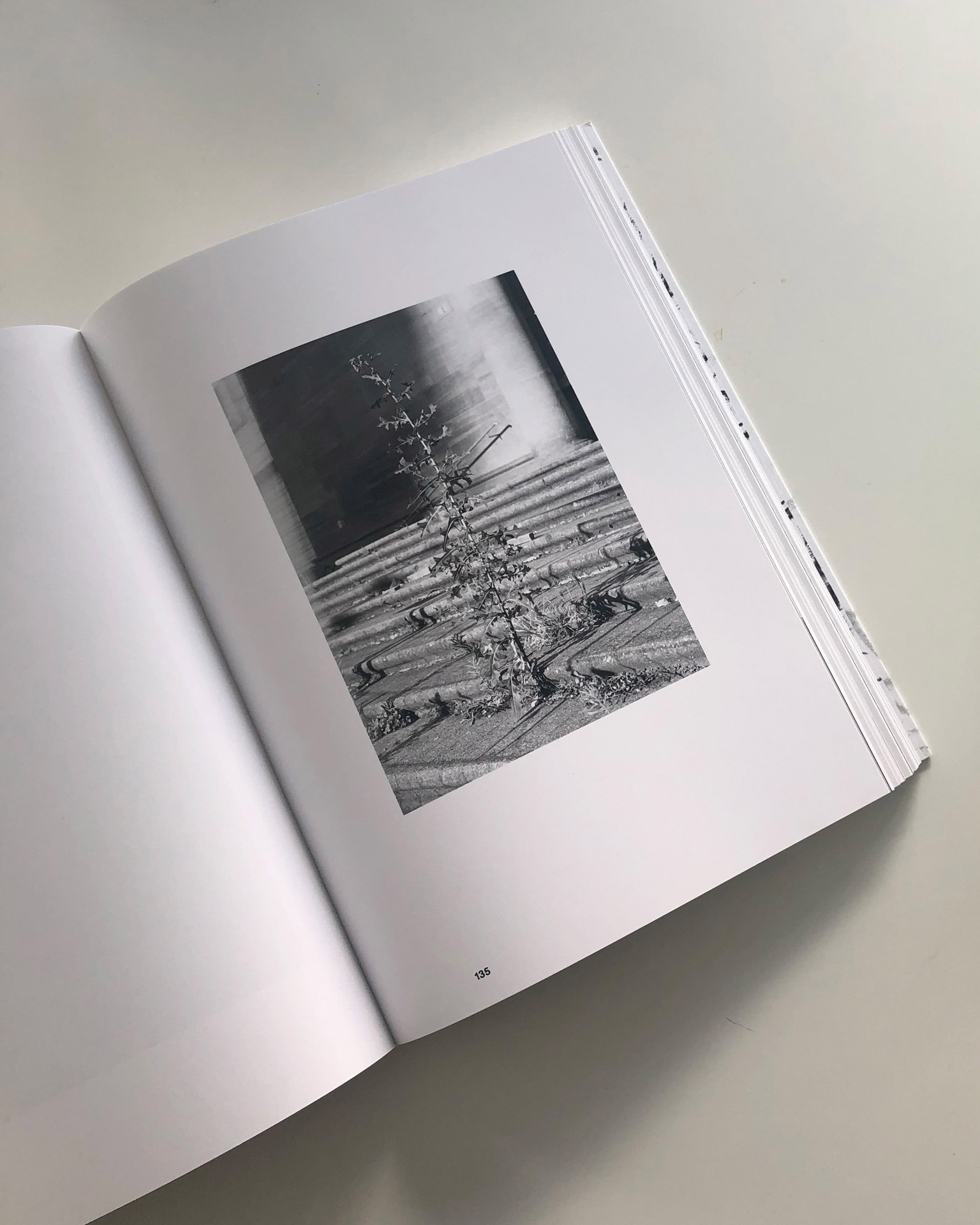 Eric Meier book designed by HOMI HOMI Graphic Design