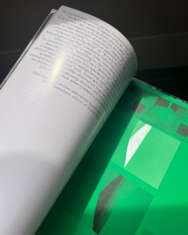 Hanna Stiegeler book designed by HOMI HOMI Graphic Design