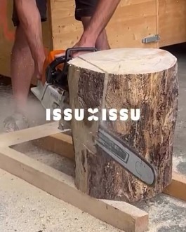 ISSU ISSU Logo designed by HOMI HOMI Graphic Design